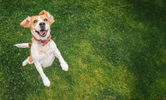 employee benefits that support employees at work and at home